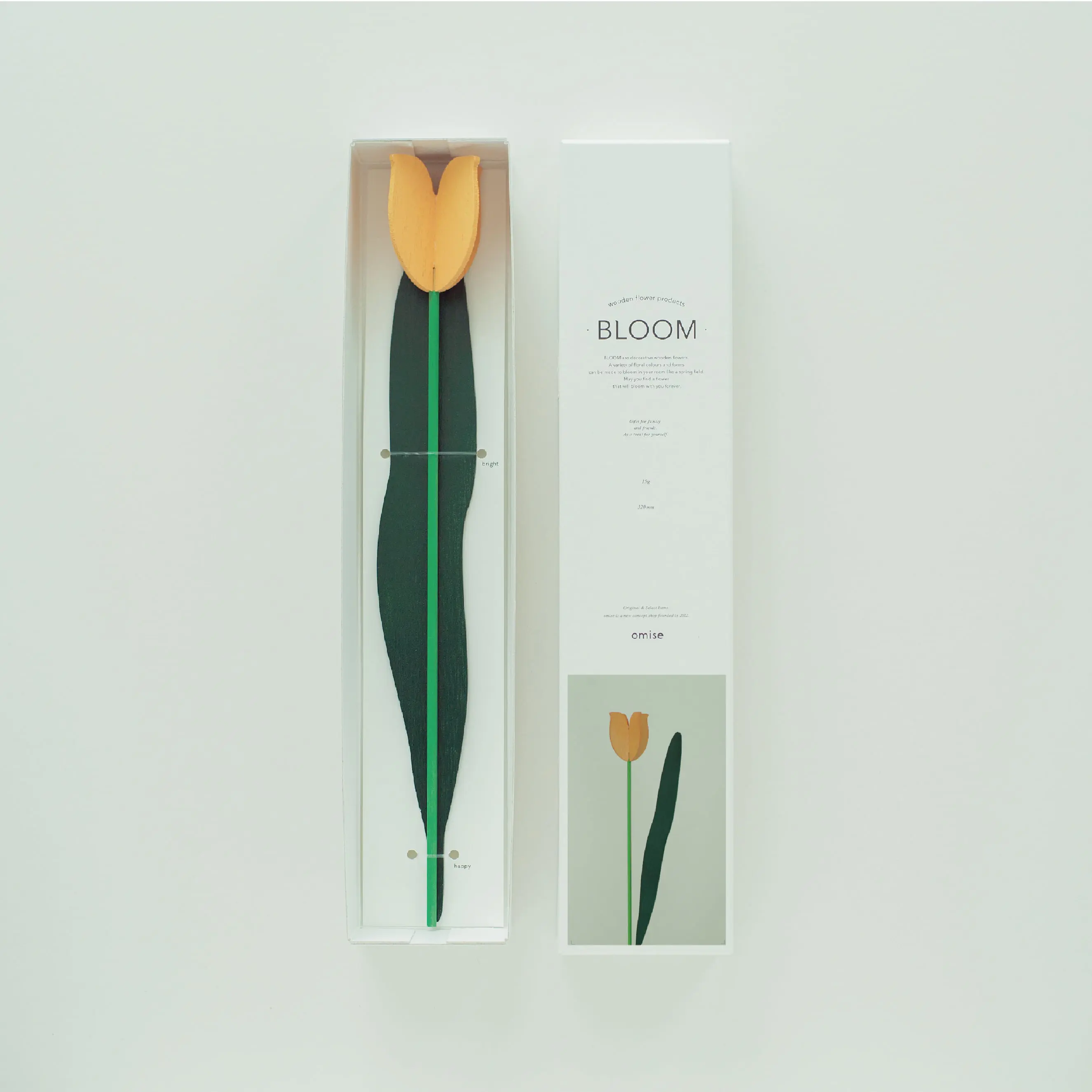 BLOOM BOX
