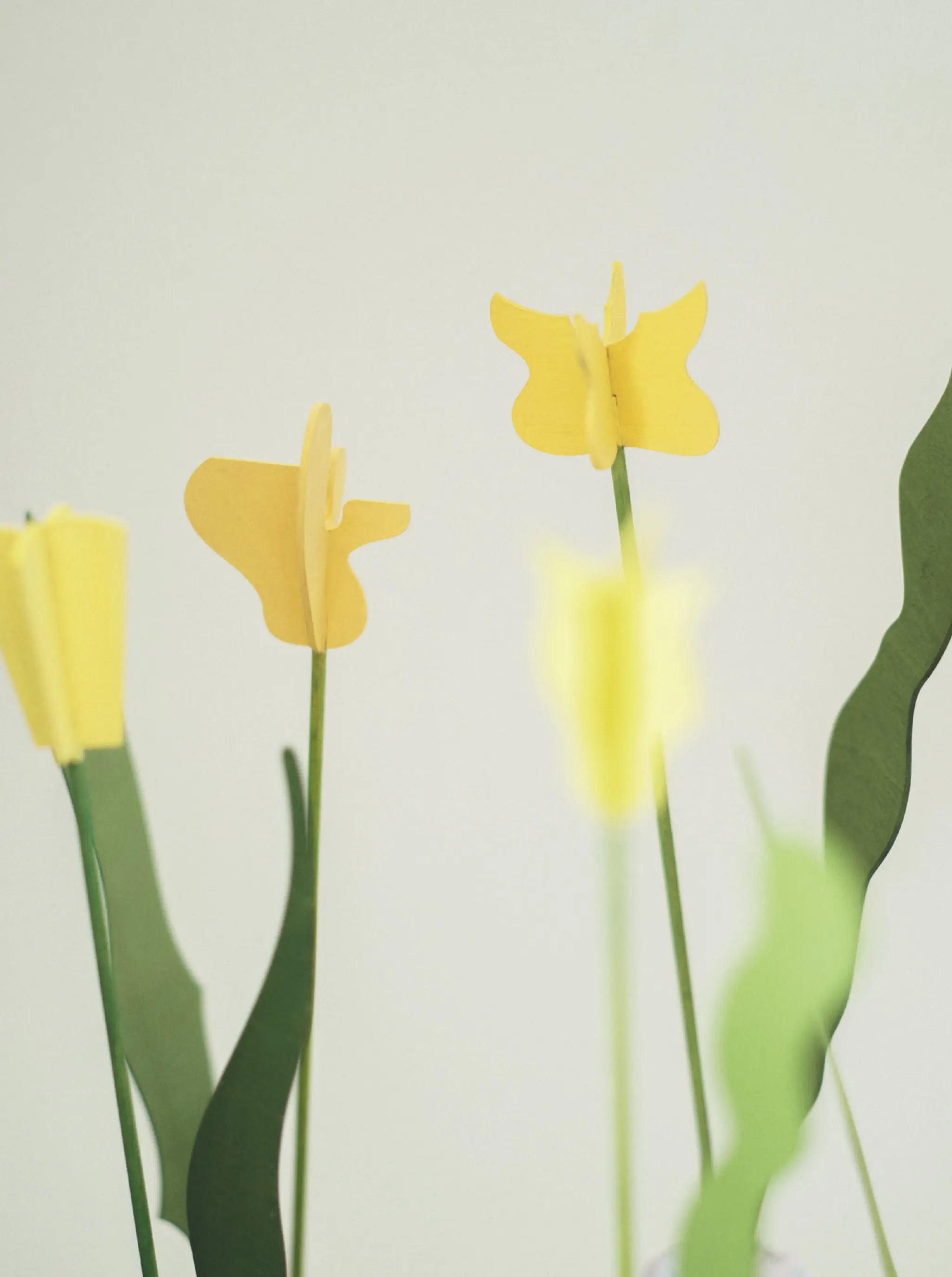 BLOOM