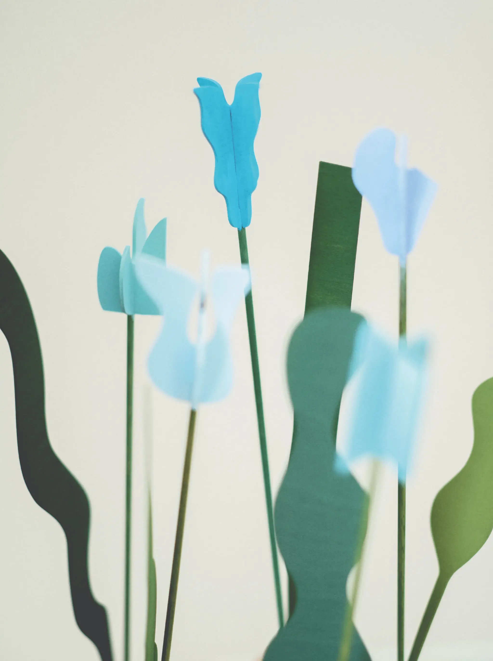 BLOOM